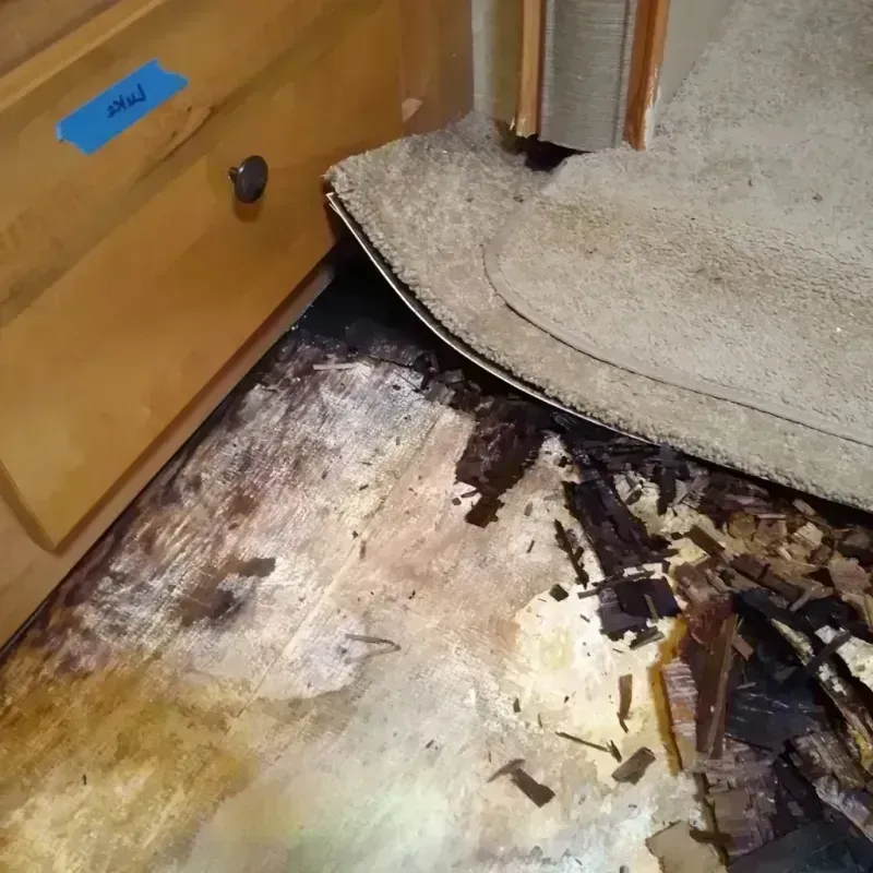 Wood Floor Water Damage in Holt, MI